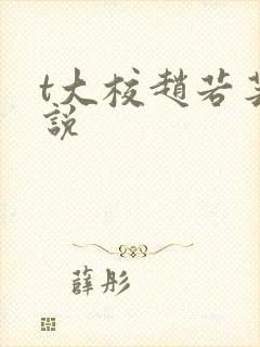 t大校赵若芸小说封面
