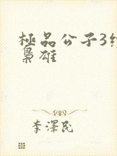 极品公子3续世枭雄