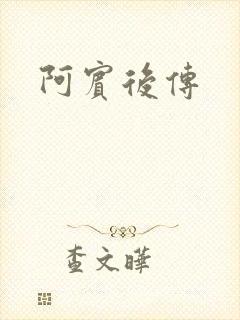 阿宾后传封面