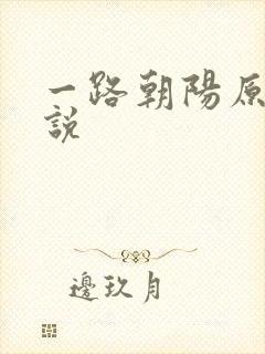 一路朝阳原著小说
