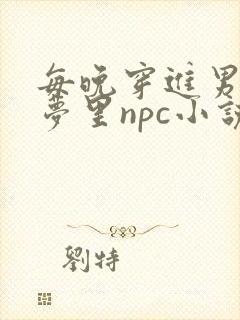 每晚穿进男神的梦里npc小说