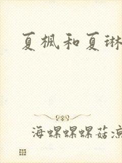 夏枫和夏琳封面