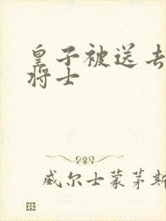 皇子被送去犒劳将士