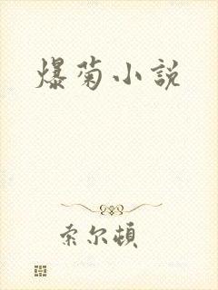 爆菊小说