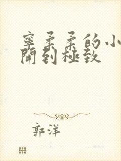 宁柔柔的小泬撑开到极致