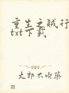 重生之贼行天下txt下载