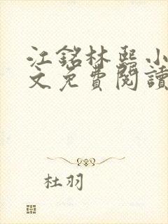 江铭林熙小说全文免费阅读