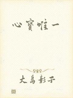 心宝唯一封面