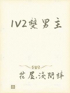 1V2双男主