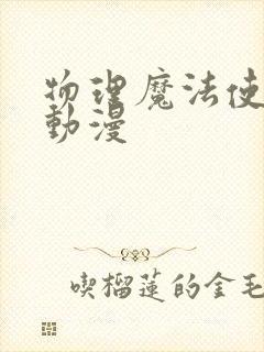 物理魔法使马修动漫