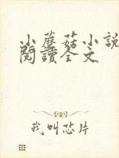 小蘑菇小说免费阅读全文