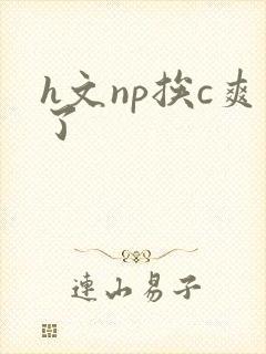 h文np挨c爽了封面