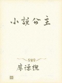 小说公主