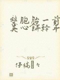 双胞胎一前一后夹心饼干年下