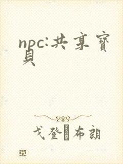 npc:共享宝贝