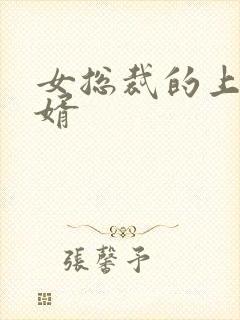 女总裁的上门女婿