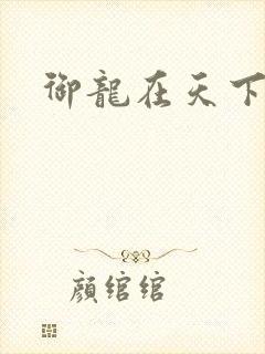 御龙在天下载封面