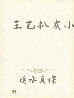 王乙扒灰小说封面