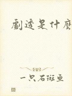 剧透是什么意思