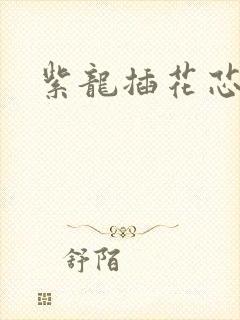 紫龙插花芯方正封面