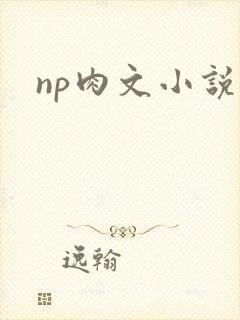 np肉文小说
