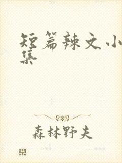 短篇辣文小说合集封面