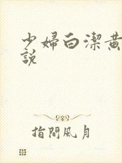 少妇白洁黄色小说