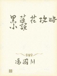 黑莲花攻略手册小说