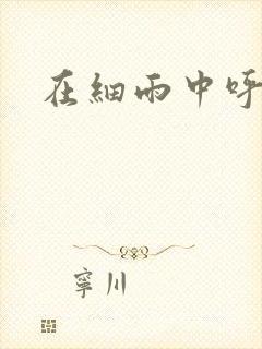 在细雨中呼喊