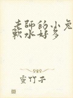 老师的小兔子好软水好多