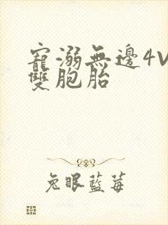 宠溺无边4V2双胞胎