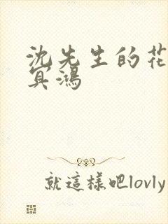 沈先生的花式调冥鸿