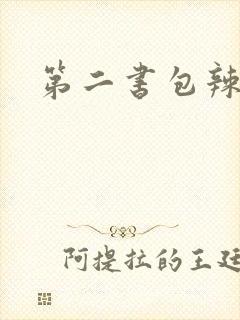 第二书包辣文