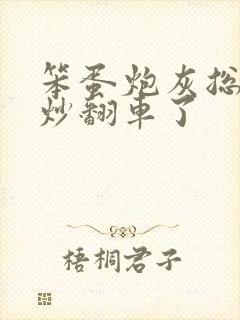 笨蛋炮灰总被爆炒翻车了