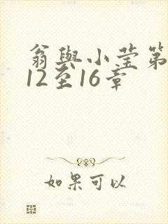 翁与小莹第十部12至16章封面