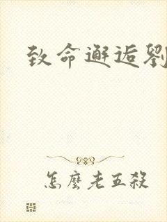 致命邂逅刘小寐