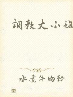 调教大小姐