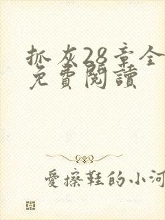 抓灰28章全部免费阅读