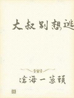大叔别想逃
