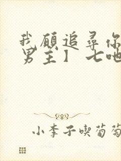 我愿追寻你【双男主】 七吔