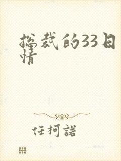 总裁的33日索情封面