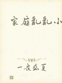家庭乱乱小说封面