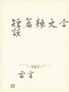 短篇辣文合集小说