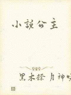 小说公主
