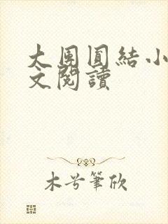 大团圆结小茹全文阅读