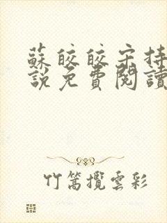 苏皎皎宋持的小说免费阅读