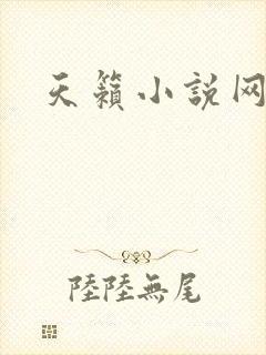 天籁小说网封面