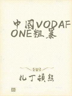 中国VODAFONE粗暴