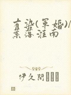 有染(军婚)/叶落淮南封面