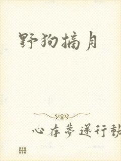 野狗摘月
